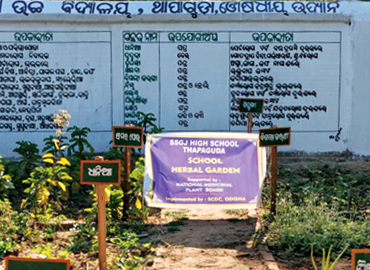 Socio Cultural Development Centre implemented 45 Nos. of School Herbal Garden in Aspirational District (Malkangiri, Rayagada & Kalahandi) of Odisha 