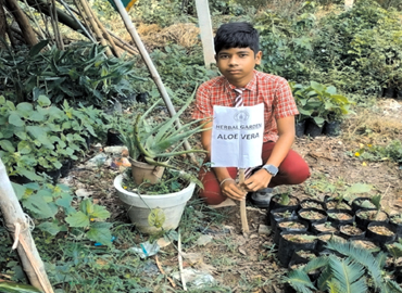 Socio Cultural Development Centre implemented 45 Nos. of School Herbal Garden in Aspirational District (Malkangiri, Rayagada & Kalahandi) of Odisha 