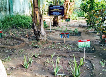 Socio Cultural Development Centre implemented 45 Nos. of School Herbal Garden in Aspirational District (Malkangiri, Rayagada & Kalahandi) of Odisha 
