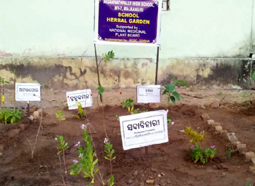 Socio Cultural Development Centre implemented 45 Nos. of School Herbal Garden in Aspirational District (Malkangiri, Rayagada & Kalahandi) of Odisha 