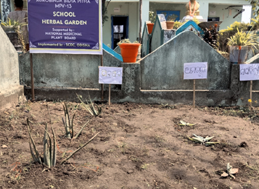Socio Cultural Development Centre implemented 45 Nos. of School Herbal Garden in Aspirational District (Malkangiri, Rayagada & Kalahandi) of Odisha 