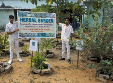 Socio Cultural Development Centre implemented 45 Nos. of School Herbal Garden in Aspirational District (Malkangiri, Rayagada & Kalahandi) of Odisha 